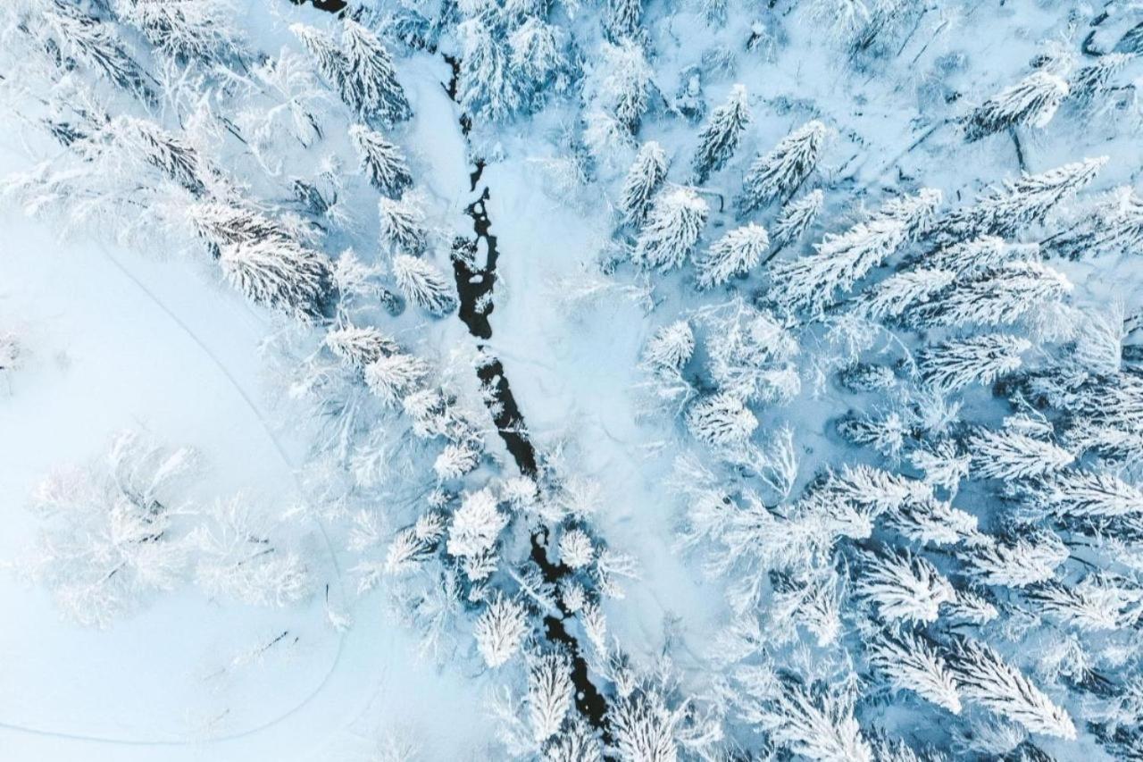 Bel Air - Proprietes Mont Amour Монрйон Екстер'єр фото
